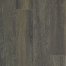 Shaw Floors Resilient Residential Paragon XL HD Plus Black Coffee Oak 00916_2033V