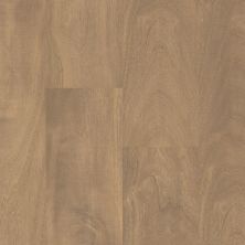 Shaw Floors Resilient Residential Prodigy Hdr Plus Mindful 06007_2038V