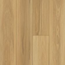 Shaw Floors Resilient Residential Distinction Plus Eucalyptus 00694_2045V