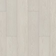 Shaw Floors Resilient Residential Distinction Plus Flawless Oak 01094_2045V