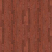Shaw Floors SFA Parker 5″ Cherry 00947_209SA