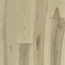 Shaw Floors Repel Hardwood Inspirations Ash Native 01026_211SA