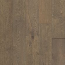 Shaw Floors Nfa Premier Gallery Hardwood CASTLETON OAK Armory