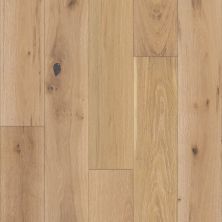 Shaw Floors Nfa Premier Gallery Hardwood CASTLETON OAK Chatelaine
