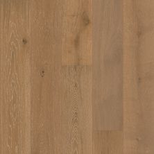 Shaw Floors Shaw Hardwoods CASTLEWOOD OAK Baroque 05031_SW485