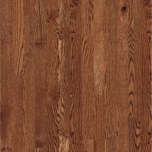 Shaw Floors Carpets Plus Hardwood Destination Timeless Classic 3″ Saddle 07136_CH925