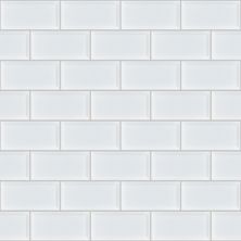 Shaw Floors Ceramic Solutions Elegance 3×6 Beveled White 00100_217TS