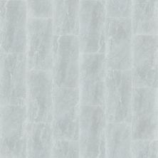 Shaw Floors Ceramic Solutions Arena 12×24 Silver 00150_221TS