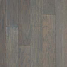 Shaw Floors SFA Foothills Sterling 05029_224SA