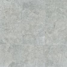 Shaw Floors Ceramic Solutions Crown 13 Grey 00500_224TS