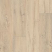 Shaw Floors Resilient Property Solutions Unrivaled 7″ Noble Oak 02702_234CT