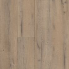 Shaw Floors Resilient Property Solutions Unrivaled 7″ Valor Oak 02704_234CT