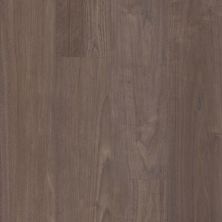 Shaw Floors Resilient Property Solutions Unrivaled 7″ Dora Walnut 02709_234CT