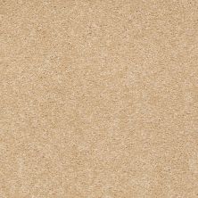 Shaw Floors Toll Brothers HS/Tuftex Gianna Blonde 00242_23ATB