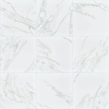 Shaw Floors Ceramic Solutions Universe 20×20 Calacatta 00120_250TS