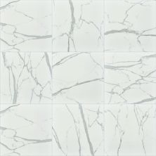 Shaw Floors Ceramic Solutions Universe 20×20 Carrara 00150_250TS
