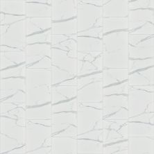 Shaw Floors Ceramic Solutions Universe 12×24 Carrara 00150_251TS