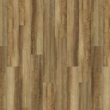 Resilient Residential Valore Plus Plank Shaw Floors  Malta 00203_2545V