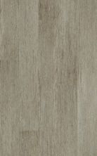 Resilient Residential Valore Plus Plank Shaw Floors  Elba 00216_2545V