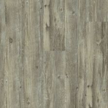 Resilient Residential Valore Plus Plank Shaw Floors  Roma 00507_2545V