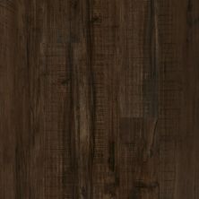 Resilient Residential Valore Plus Plank Shaw Floors  Parma 00734_2545V
