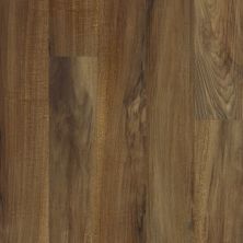 Resilient Residential Valore Plus Plank Shaw Floors  Verona 00802_2545V