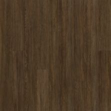 Shaw Floors Resilient Residential Alto Plus Plank Terza Grande 00733_2576V