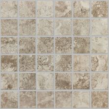 Shaw Floors Ceramic Solutions Stonework Mosaic Brown 00700_263TS