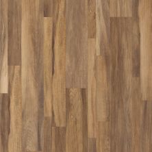 Shaw Floors Resilient Residential Alto Mix Plus Gran Sasso Jatoba 00608_2662V