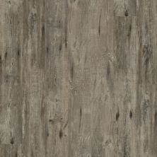 Shaw Floors Resilient Residential Alto HD Plus Biella 00552_2731V
