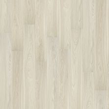 Shaw Floors Resilient Residential Palatino Plus Majestic 00144_2801V