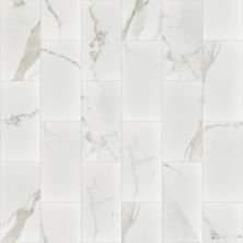 Shaw Floors Ceramic Solutions Maximus 6×12 Gloss Calacatta 00170_288TS