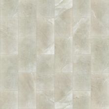 Shaw Floors Ceramic Solutions Maximus 6×12 Gloss Grey 00500_288TS