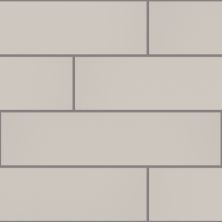 Shaw Floors Ceramic Solutions Grandeur 4×16 Gloss Warm Grey 00500_413TS