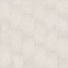 Shaw Floors Ceramic Solutions Idyllic 12×24 Halcyon 00100_521TS