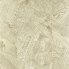 Shaw Floors Resilient Residential Tenacious Hd+ Milled Bazaar Spice 02011_3010V