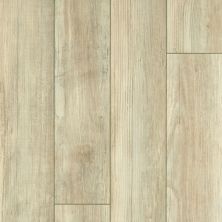 Resilient Residential Tenacious Hd+ Accent Shaw Floors  Cypress 00483_3011V