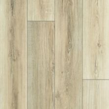 Resilient Residential Tenacious Hd+ Accent Shaw Floors  Driftwood 01053_3011V
