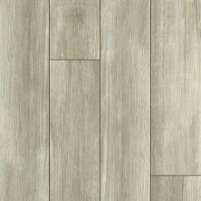 Resilient Residential Tenacious Hd+ Accent Shaw Floors  Spanish Moss 05089_3011V