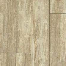 Resilient Residential Tenacious Hd+ Accent Shaw Floors  Olive Branch 07082_3011V