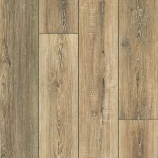Resilient Residential Tenacious Hd+ Accent Shaw Floors  Bamboo 07084_3011V