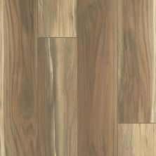 Resilient Residential Tenacious Hd+ Accent Shaw Floors  Phoenix 07221_3011V