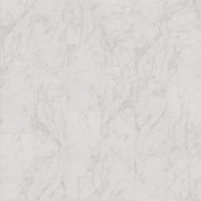 Shaw Floors Ceramic Solutions Prime Aura 12×24 Polished Carrara Abisso 00111_498TS