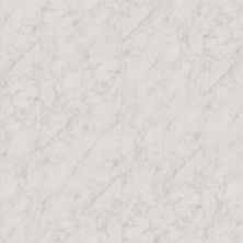 Shaw Floors Ceramic Solutions Prime Aura 12×24 Matte Carrara Abisso 00111_497TS