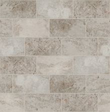 Shaw Floors Ceramic Solutions Basanite Legacy 8×16 Grey 00500_512TS