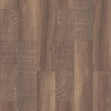 Shaw Floors Ceramic Solutions Reclaimed 8×40 Brown 00700_506TS