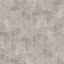 Shaw Floors Ceramic Solutions Basanite Legacy 16×24 Slip-resistant Grey 00500_510TS