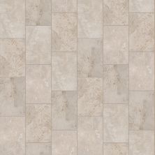 Shaw Floors Ceramic Solutions Basanite Legacy 16×24 Slip-resistant Walnut 00600_510TS