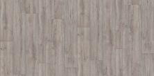 Shaw Floors Resilient Residential Artemis Stele 05005_3037V