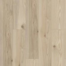 Shaw Floors Resilient Residential Paragon Hd+natural Bevel Savona 02049_3038V
